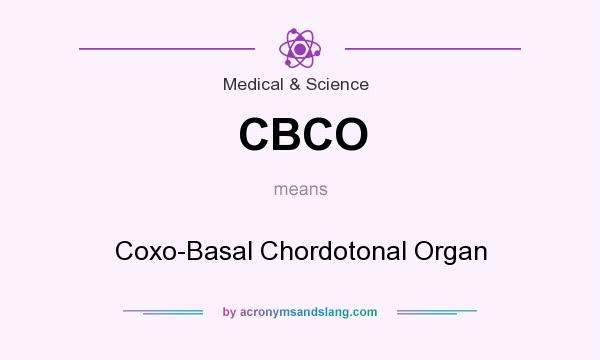 What does CBCO mean? It stands for Coxo-Basal Chordotonal Organ