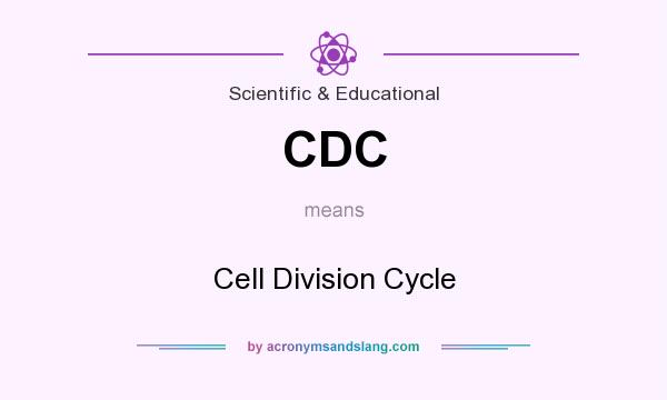 What does CDC mean? It stands for Cell Division Cycle
