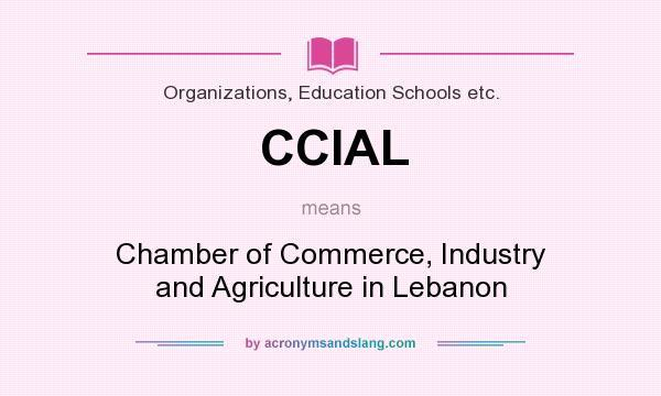 What does CCIAL mean? It stands for Chamber of Commerce, Industry and Agriculture in Lebanon
