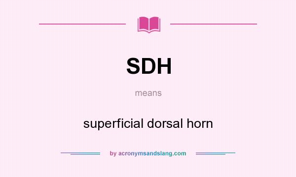 What does SDH mean? It stands for superficial dorsal horn