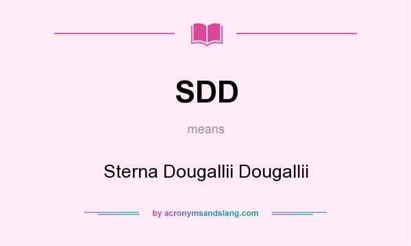 What does SDD mean? It stands for Sterna Dougallii Dougallii