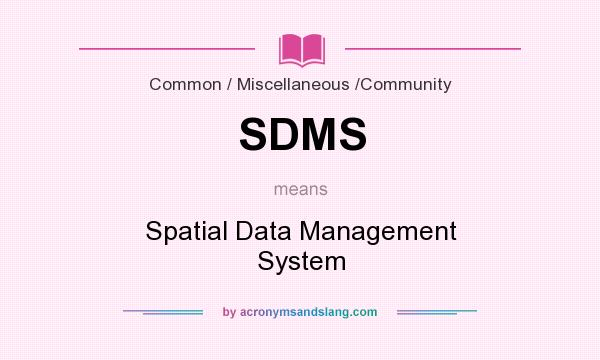 What does SDMS mean? It stands for Spatial Data Management System