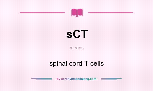 What does sCT mean? It stands for spinal cord T cells