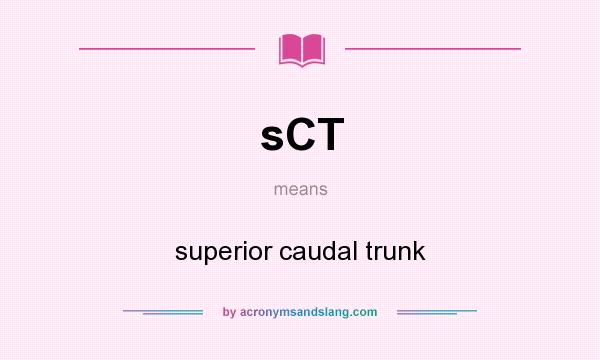 What does sCT mean? It stands for superior caudal trunk