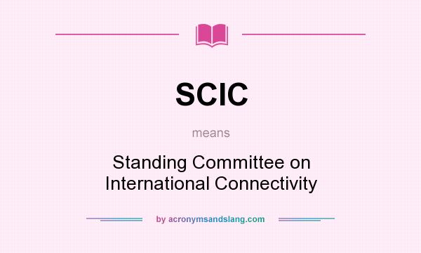 What does SCIC mean? It stands for Standing Committee on International Connectivity