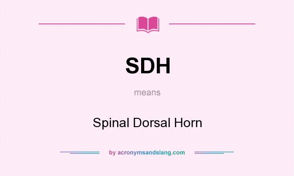 What does SDH mean? It stands for Spinal Dorsal Horn