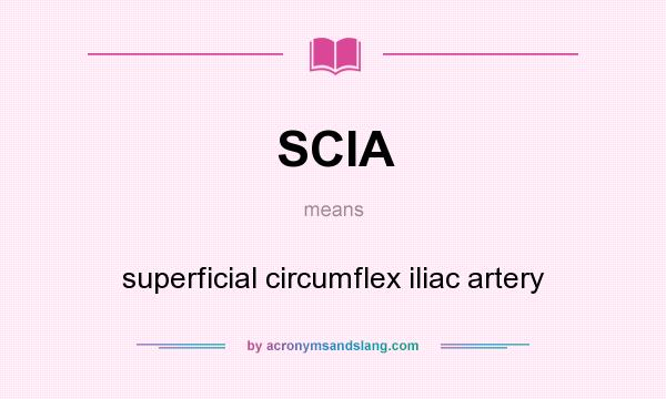 What does SCIA mean? It stands for superficial circumflex iliac artery