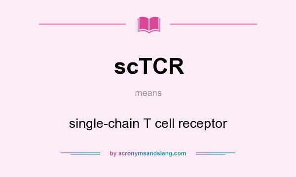What does scTCR mean? It stands for single-chain T cell receptor
