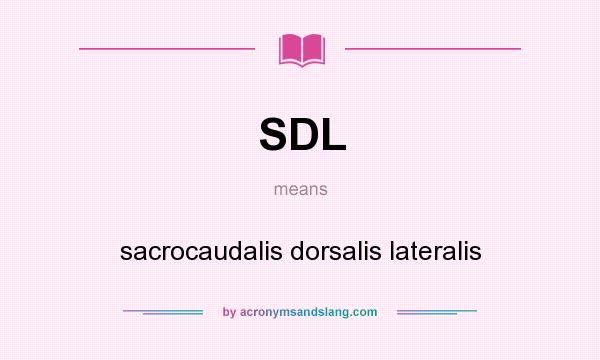 What does SDL mean? It stands for sacrocaudalis dorsalis lateralis
