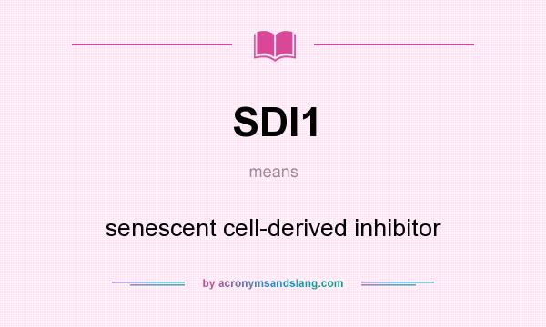 What does SDI1 mean? It stands for senescent cell-derived inhibitor