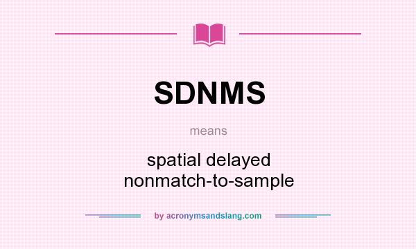 What does SDNMS mean? It stands for spatial delayed nonmatch-to-sample