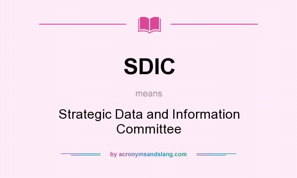 What does SDIC mean? It stands for Strategic Data and Information Committee