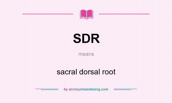 What does SDR mean? It stands for sacral dorsal root