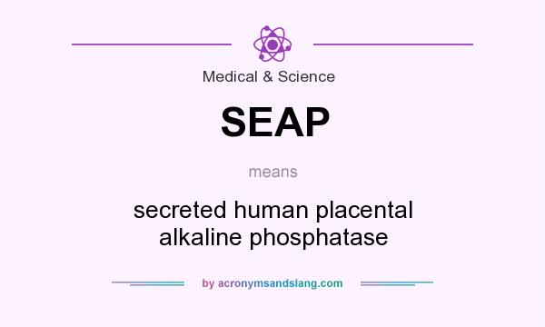 What does SEAP mean? It stands for secreted human placental alkaline phosphatase