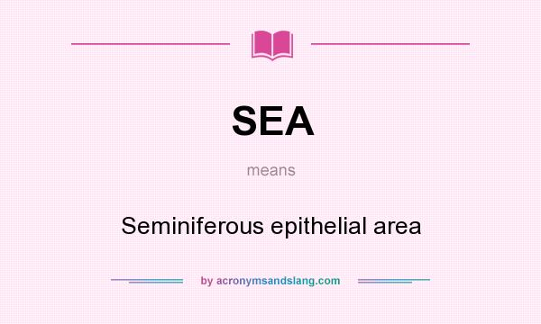 What does SEA mean? It stands for Seminiferous epithelial area