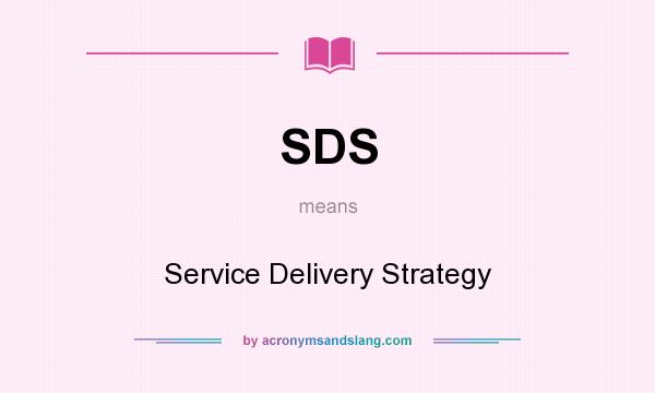 What does SDS mean? It stands for Service Delivery Strategy