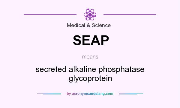 What does SEAP mean? It stands for secreted alkaline phosphatase glycoprotein