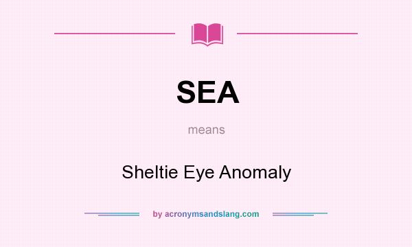 What does SEA mean? It stands for Sheltie Eye Anomaly