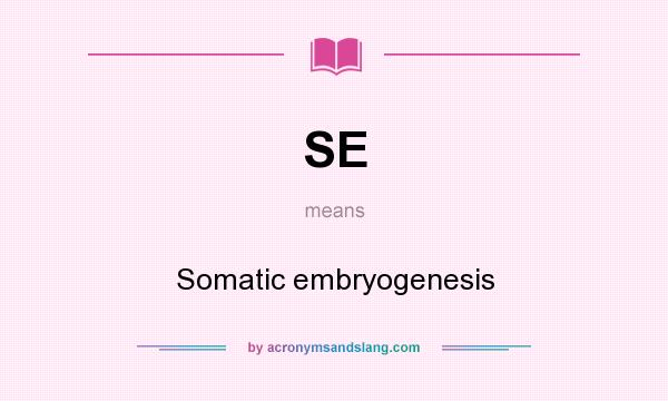 What does SE mean? It stands for Somatic embryogenesis