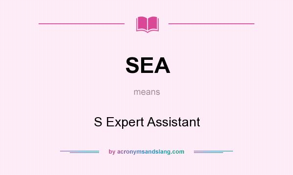 What does SEA mean? It stands for S Expert Assistant