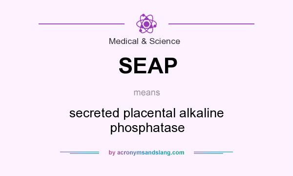 What does SEAP mean? It stands for secreted placental alkaline phosphatase