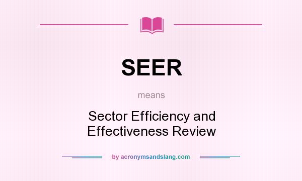What does SEER mean? It stands for Sector Efficiency and Effectiveness Review