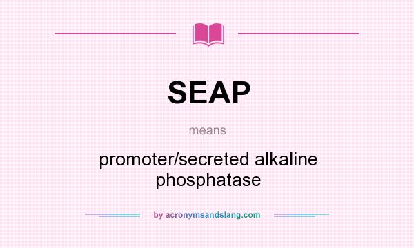 What does SEAP mean? It stands for promoter/secreted alkaline phosphatase