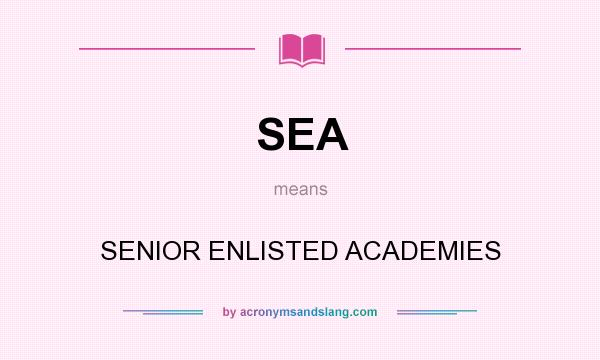 What does SEA mean? It stands for SENIOR ENLISTED ACADEMIES