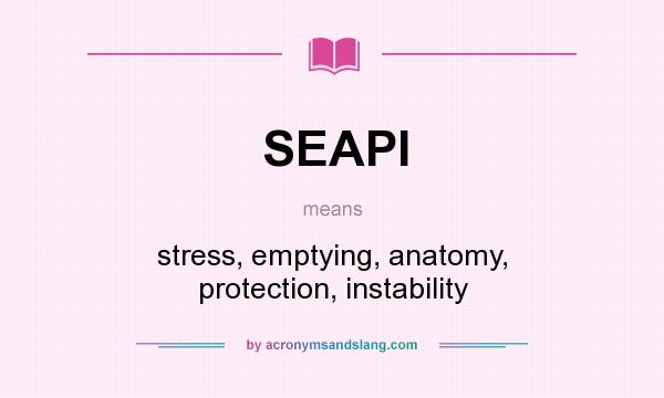 What does SEAPI mean? It stands for stress, emptying, anatomy, protection, instability