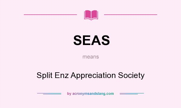 What does SEAS mean? It stands for Split Enz Appreciation Society