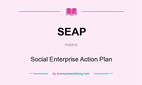 What does SEAP mean? It stands for Social Enterprise Action Plan