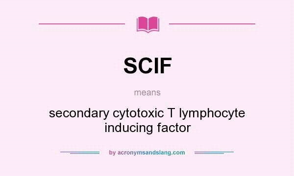 What does SCIF mean? It stands for secondary cytotoxic T lymphocyte inducing factor