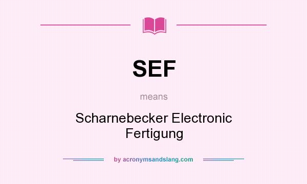 What does SEF mean? It stands for Scharnebecker Electronic Fertigung