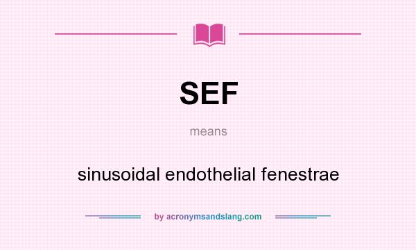 What does SEF mean? It stands for sinusoidal endothelial fenestrae