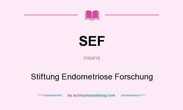 What does SEF mean? It stands for Stiftung Endometriose Forschung