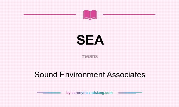 What does SEA mean? It stands for Sound Environment Associates