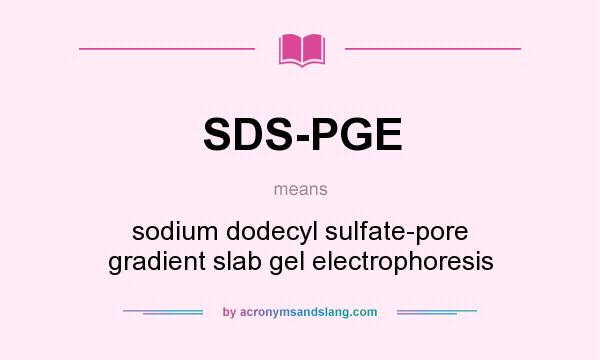 What does SDS-PGE mean? It stands for sodium dodecyl sulfate-pore gradient slab gel electrophoresis