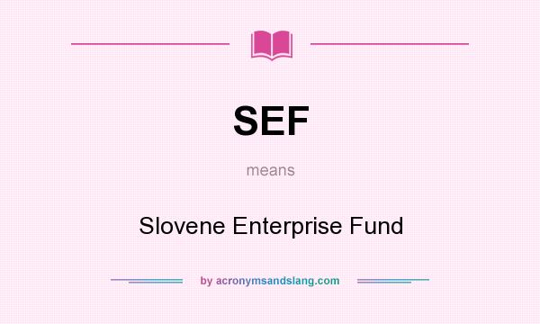 What does SEF mean? It stands for Slovene Enterprise Fund