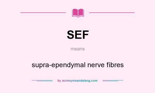 What does SEF mean? It stands for supra-ependymal nerve fibres