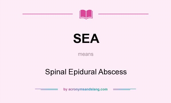 What does SEA mean? It stands for Spinal Epidural Abscess