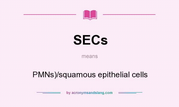 What does SECs mean? It stands for PMNs)/squamous epithelial cells