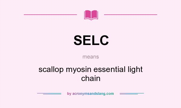 What does SELC mean? It stands for scallop myosin essential light chain