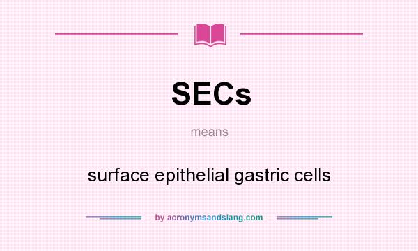 What does SECs mean? It stands for surface epithelial gastric cells