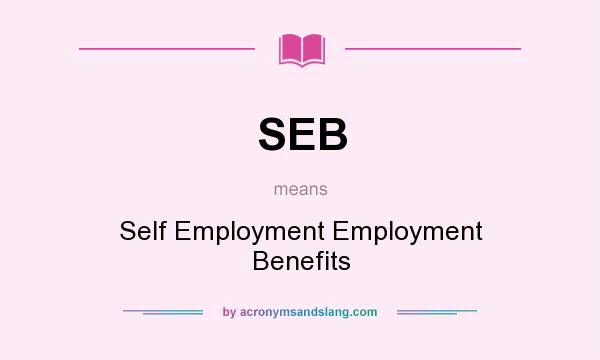 What does SEB mean? It stands for Self Employment Employment Benefits