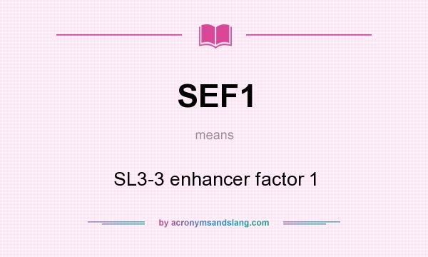 What does SEF1 mean? It stands for SL3-3 enhancer factor 1