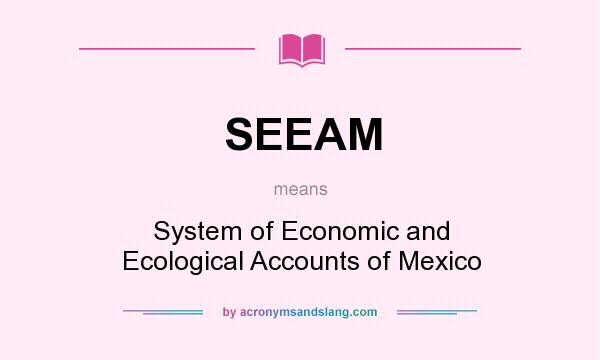 What does SEEAM mean? It stands for System of Economic and Ecological Accounts of Mexico