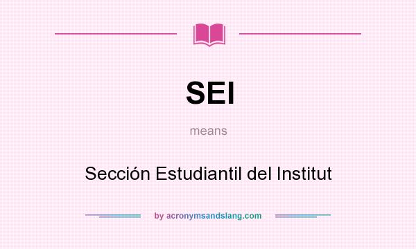 What does SEI mean? It stands for Sección Estudiantil del Institut