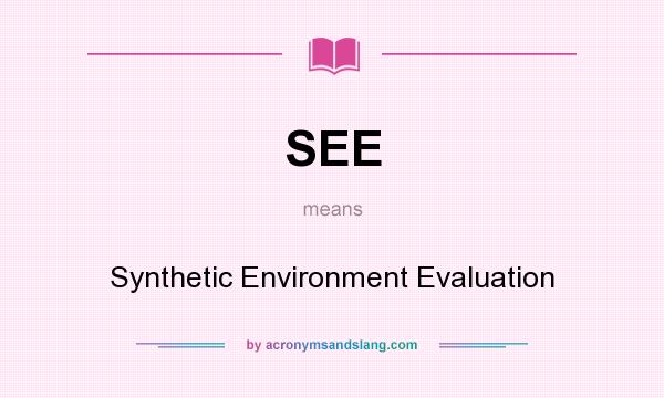 What does SEE mean? It stands for Synthetic Environment Evaluation