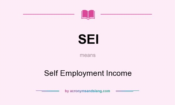 What does SEI mean? It stands for Self Employment Income