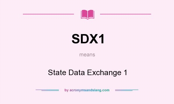 What does SDX1 mean? It stands for State Data Exchange 1